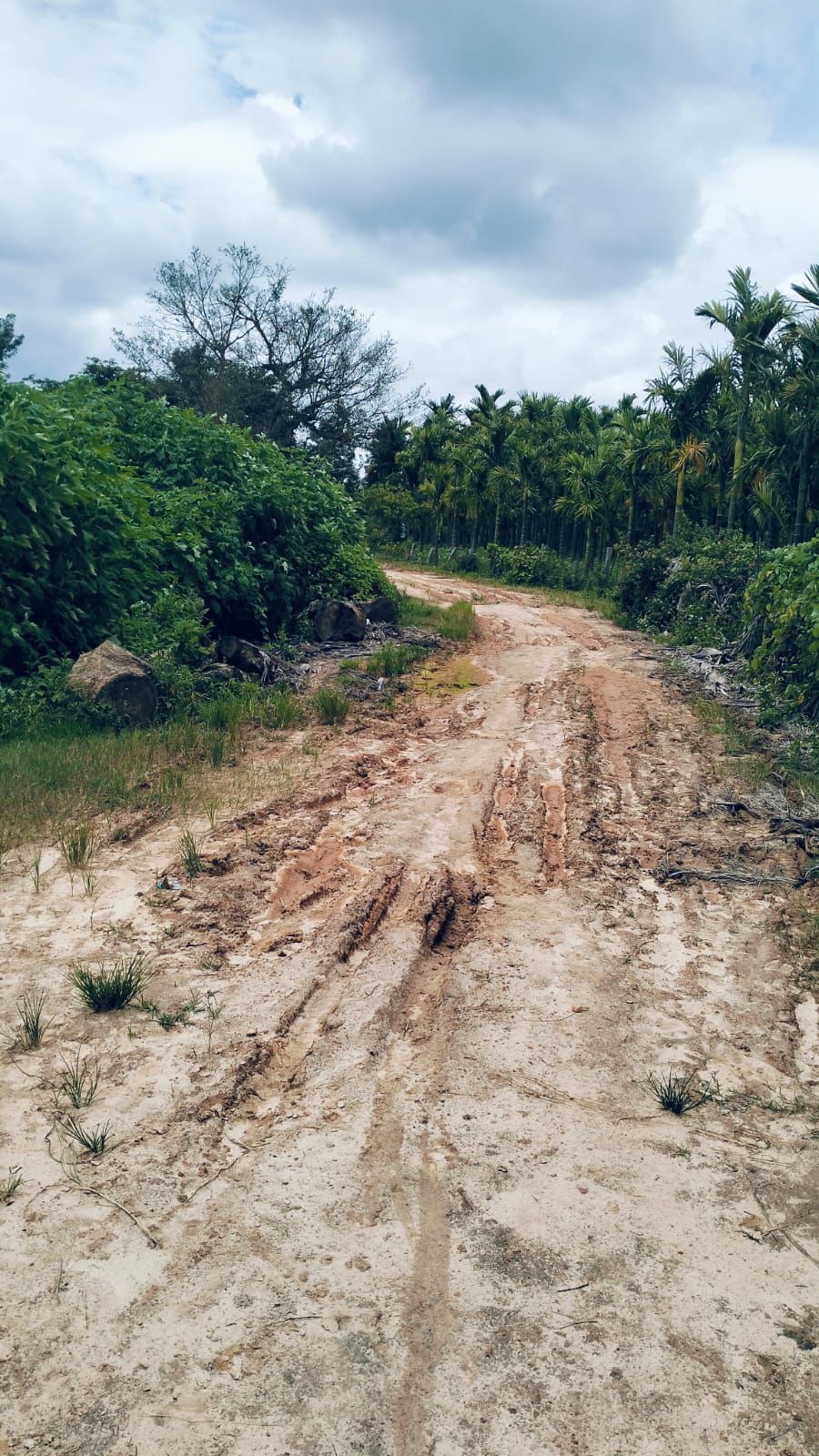 77 Gunta Land for Sale – Near Chikkamagaluru City